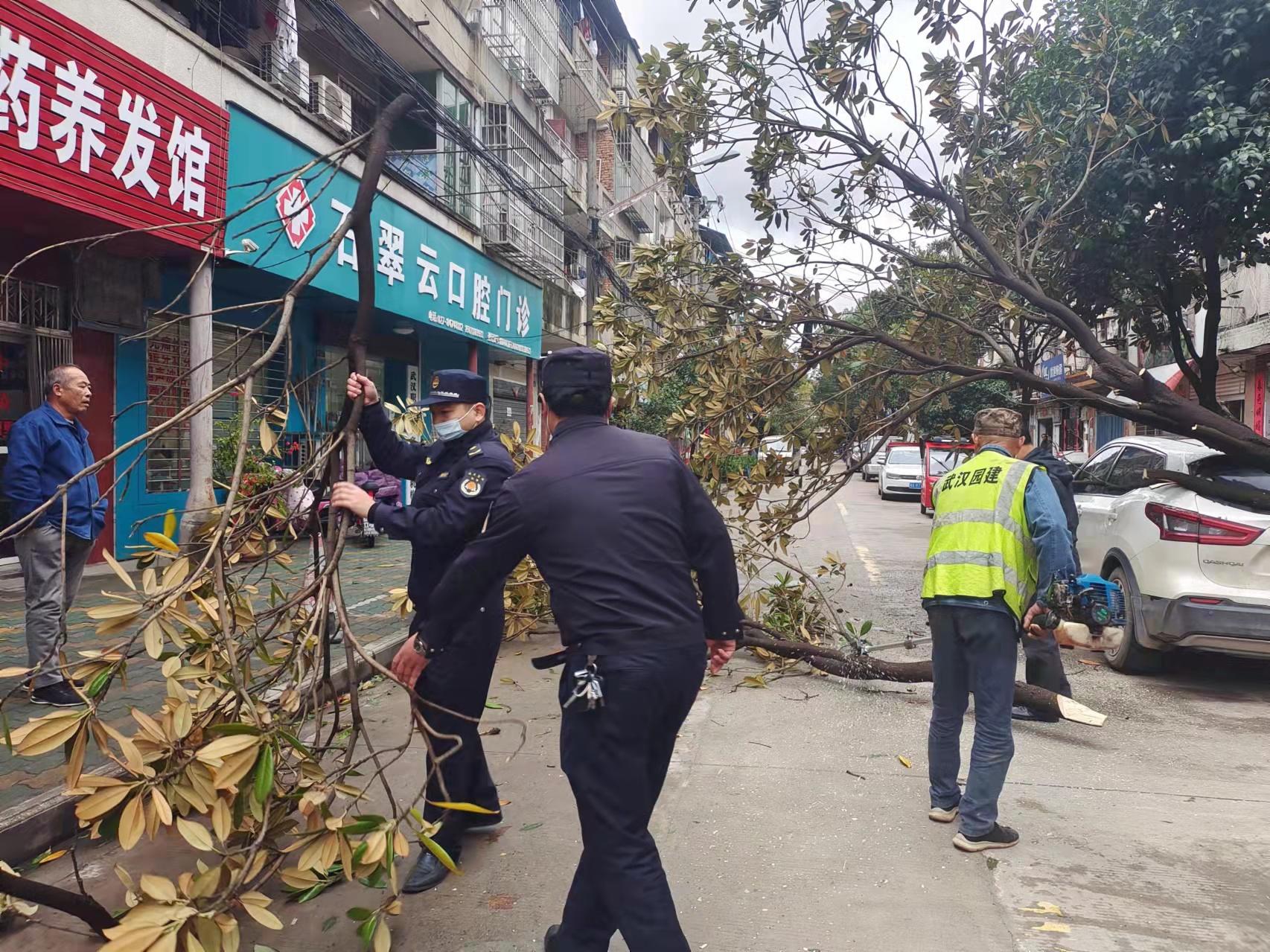 历史罕见大风会有多极端？揭秘极端大风现象及其影响